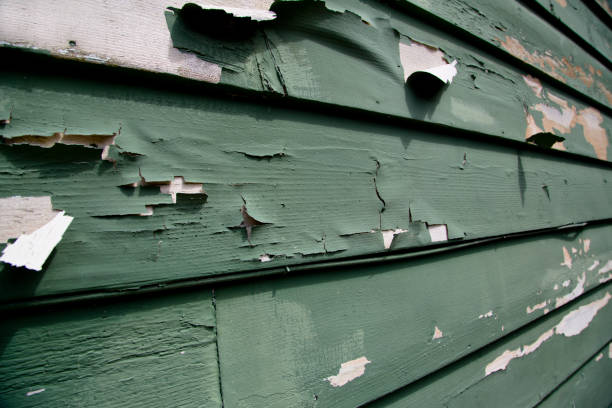 Best Stone Veneer Siding  in New Baltimore, VA
