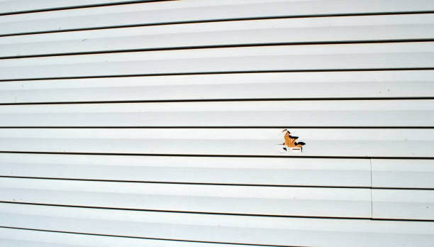 Best Siding Painting and Refinishing  in New Baltimore, VA
